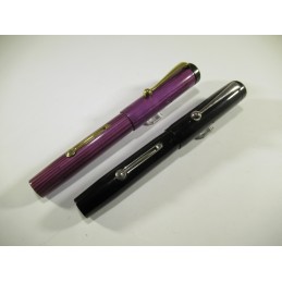 Lot de 2 stylos plumes...